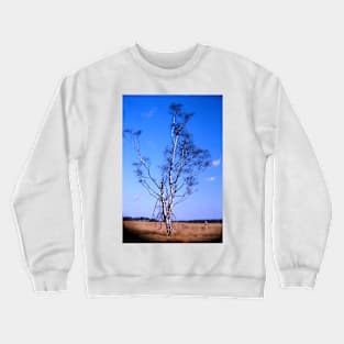 Lonely birch Crewneck Sweatshirt